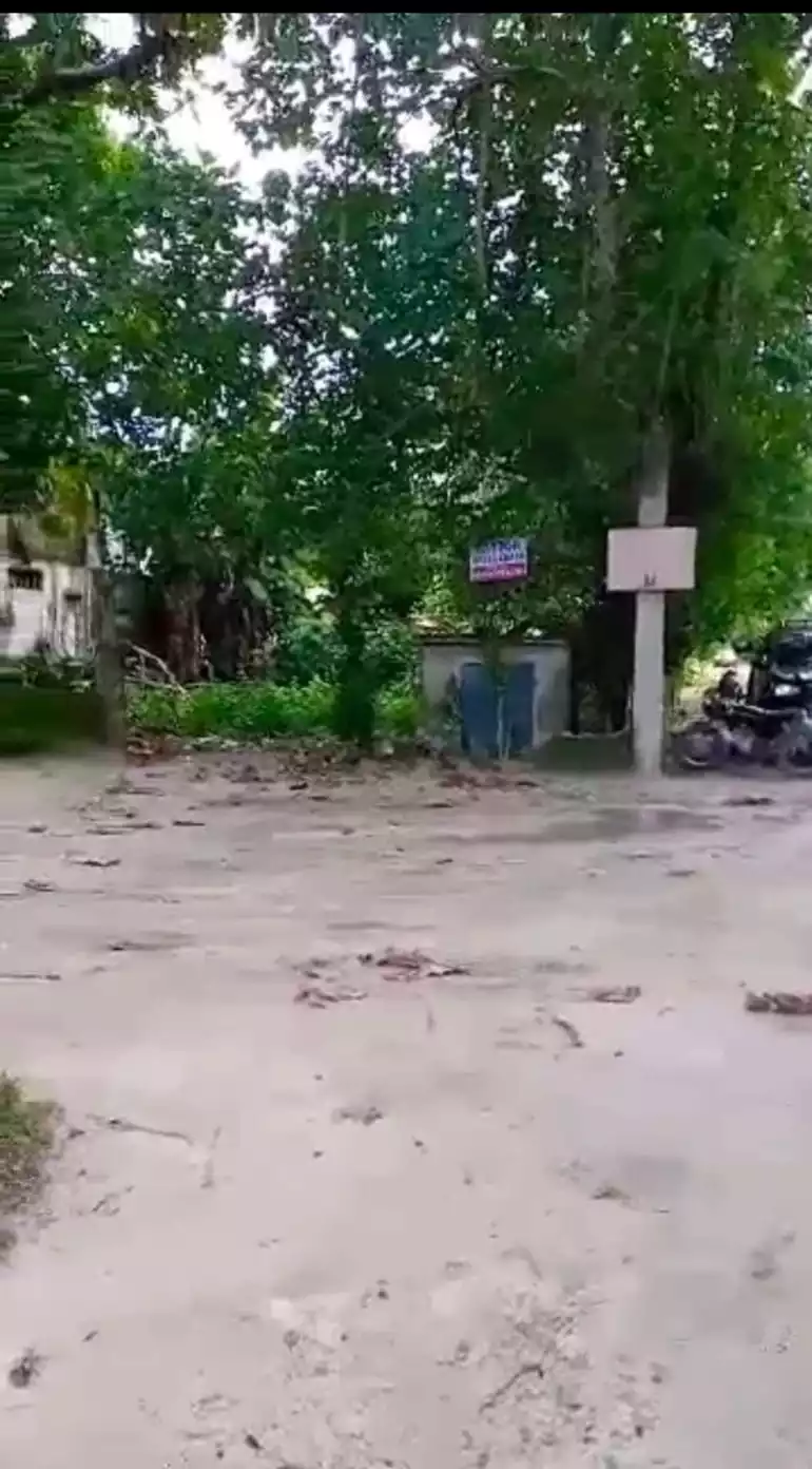 LOT FOR SALE IN CLOUD 9, GENERAL LUNA, SIARGAO ISLANDS - photo 2