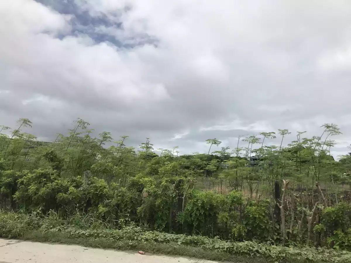 ðŸ“£COMMERCIAL LOT FOR SALE - 5000SQM AREA ONLY!ðŸ“£ - photo 6