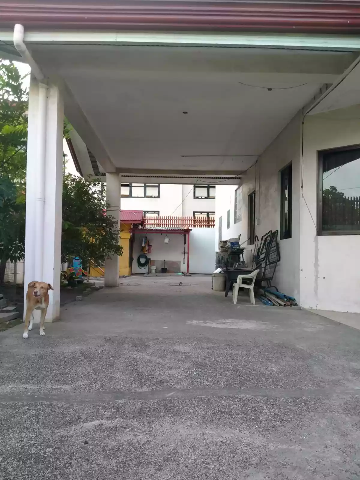FOR SALE SEMI FURNISHED HOUSE IN LAPU-LAPU CITY — House and Lot in Ibabao - Gisi - Agus Road, Lapu-Lapu City, Cebu — Photo 5