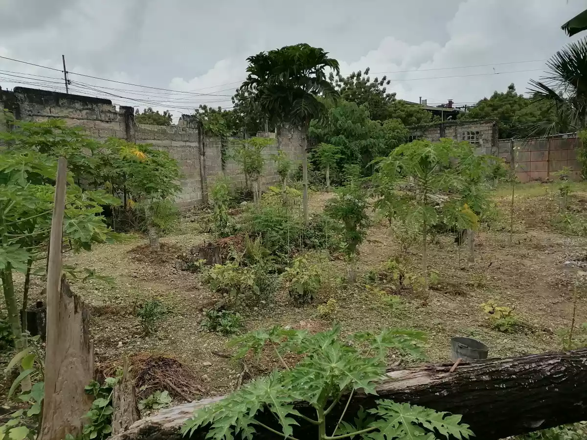 Residential /Agricultural land for sale — Agricultural Lot in Cebu, Philippines — Photo 3