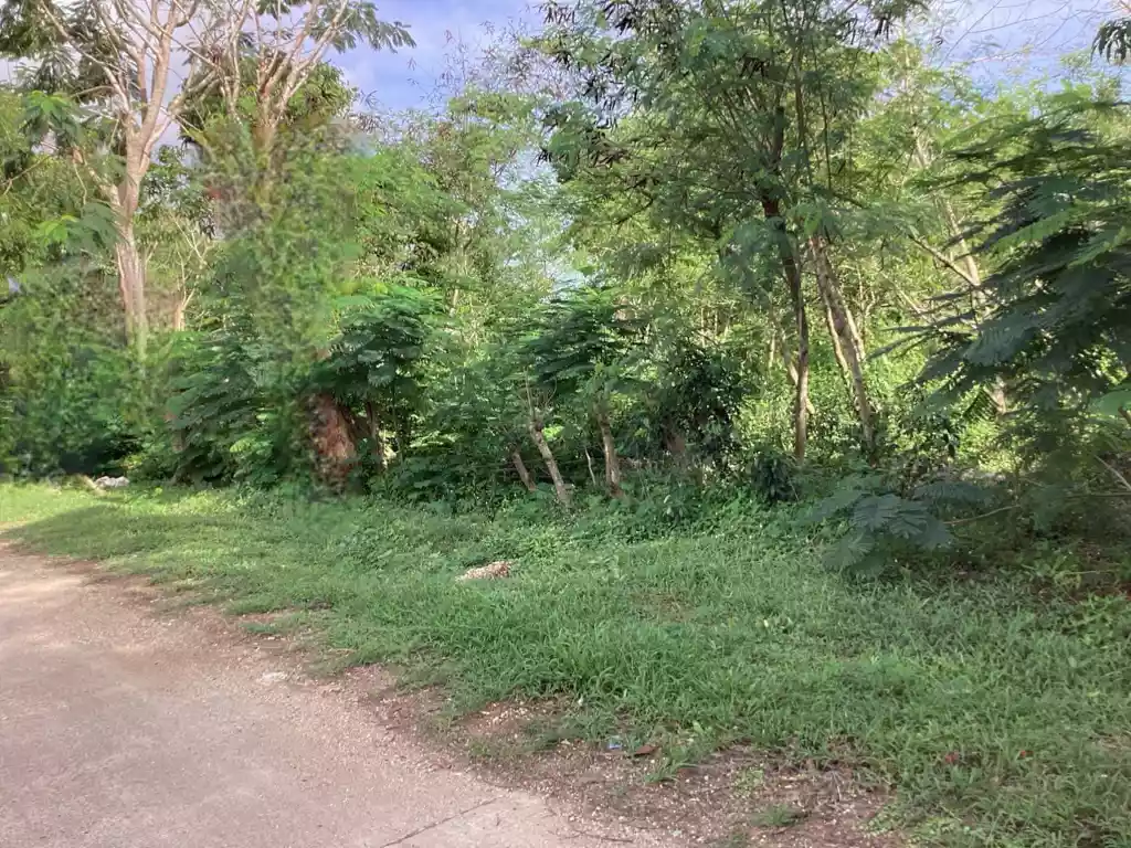 Commercial/Residential Lot in Dauis, Panglao — Commercial Lot in Dao, Dauis, Bohol — Photo 2