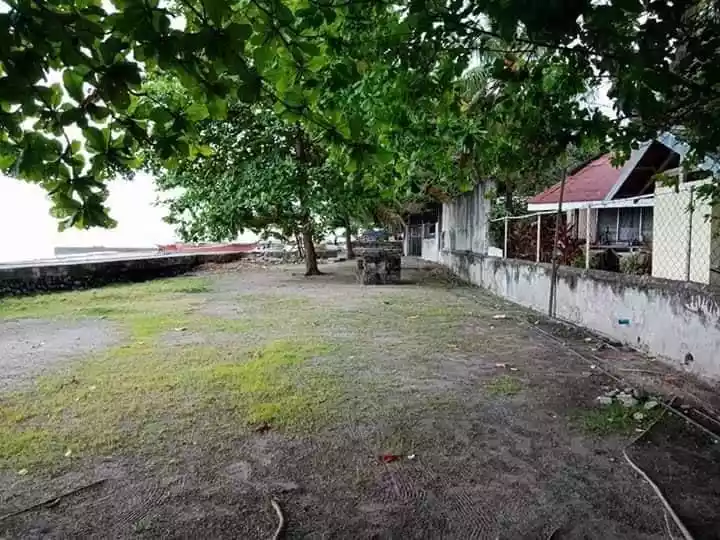 BEACH LOT FOR SALE IN DUMAGUETE CITY - photo 6