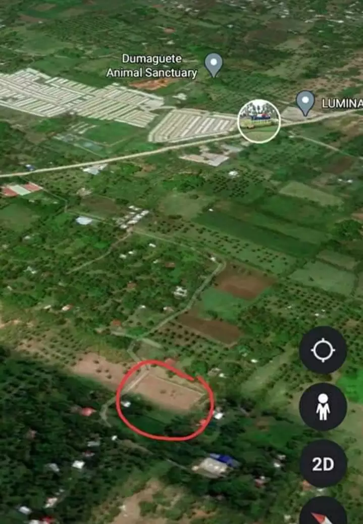 FULLY FENCED LOT FOR LEASE IN BACONG - photo 5