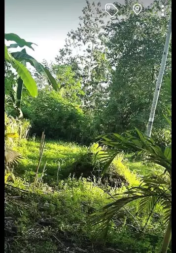 Residential lot near busay falls and institutions like barangay hall schools and churches... 2nd lot from tiniwisan cabcabon road