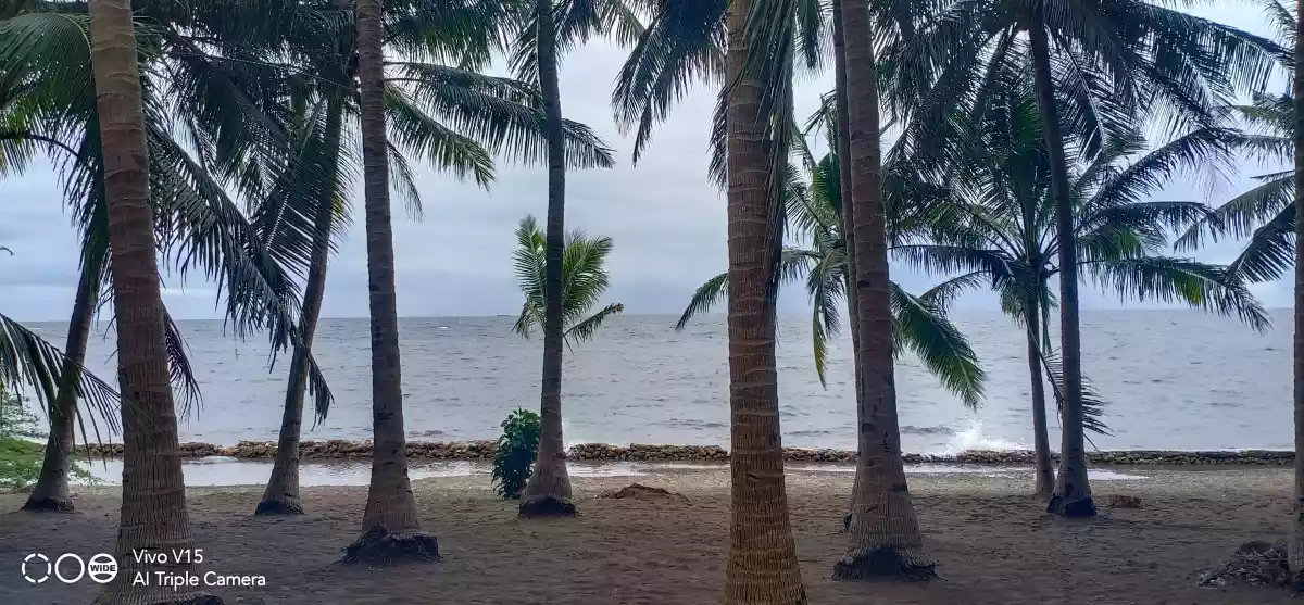 COMMERCIAL/BEACH LOT FOR SALE IN DANAO CITY - photo 5