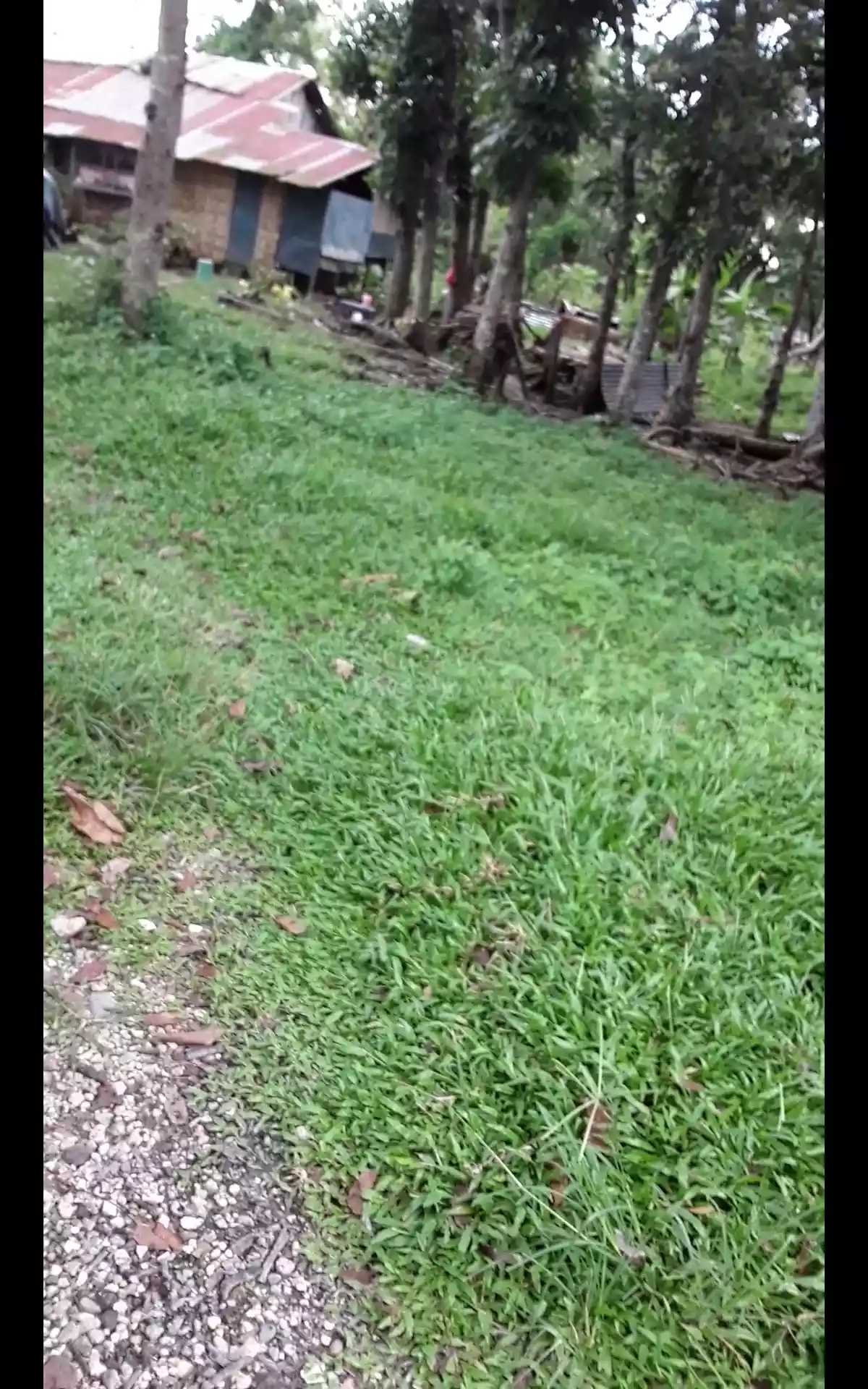 Residential lot for sale — Residential Lot in Tagbilaran City, Bohol, Philippines — Photo 2