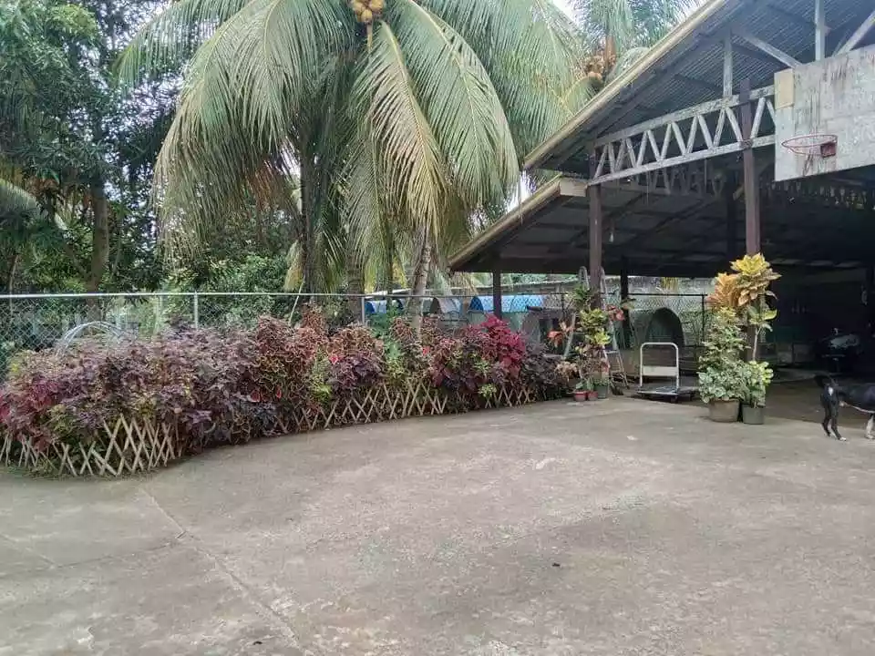 LOT FOR SALE — Residential Lot in Amlan, Negros Oriental, Philippines — Photo 3
