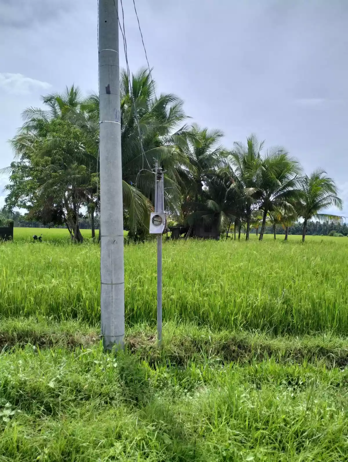 Rush Sale! Irrigated rice farm located in San Jose, Marbel  - photo 3