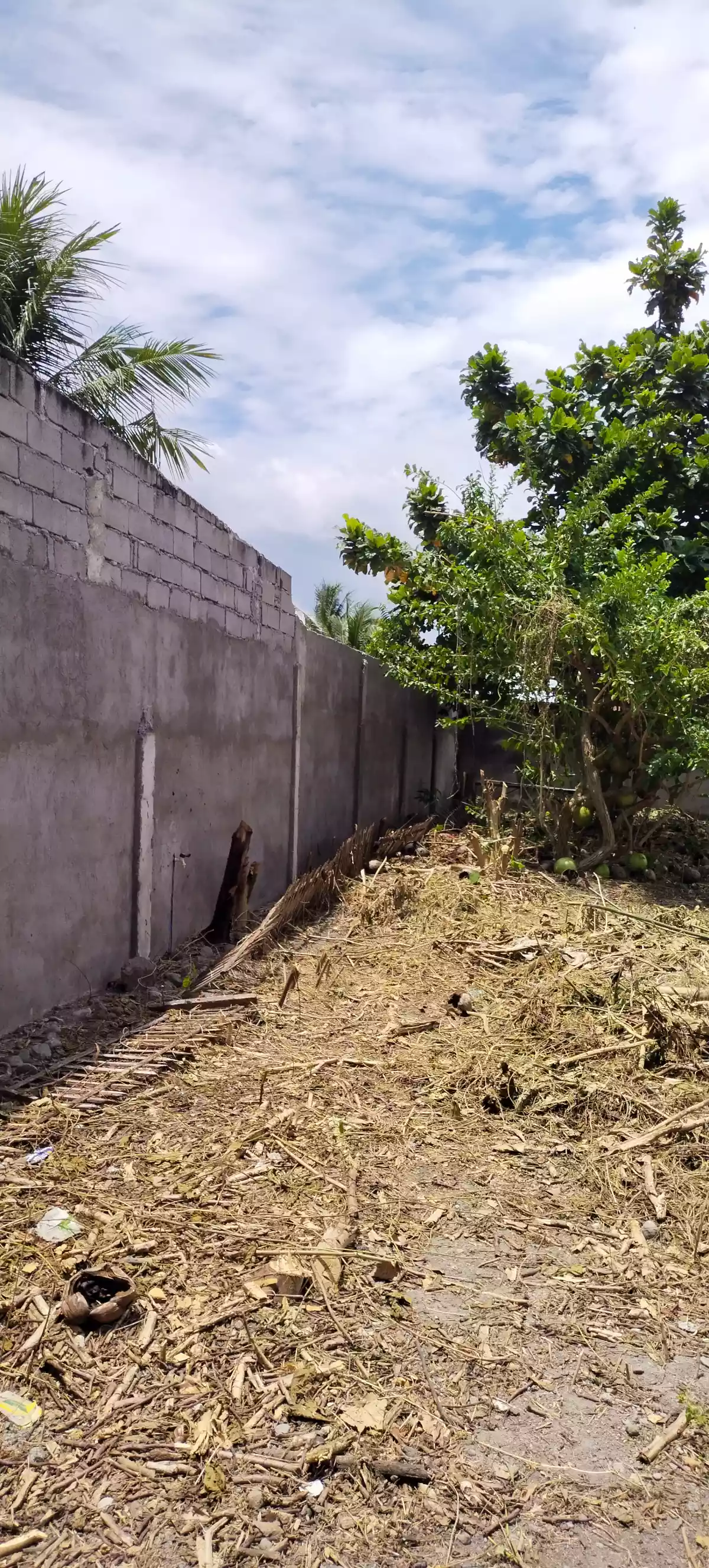 Near conel road — Residential Lot in Purok 17 Road, General Santos City, South Cotabato — Photo 6