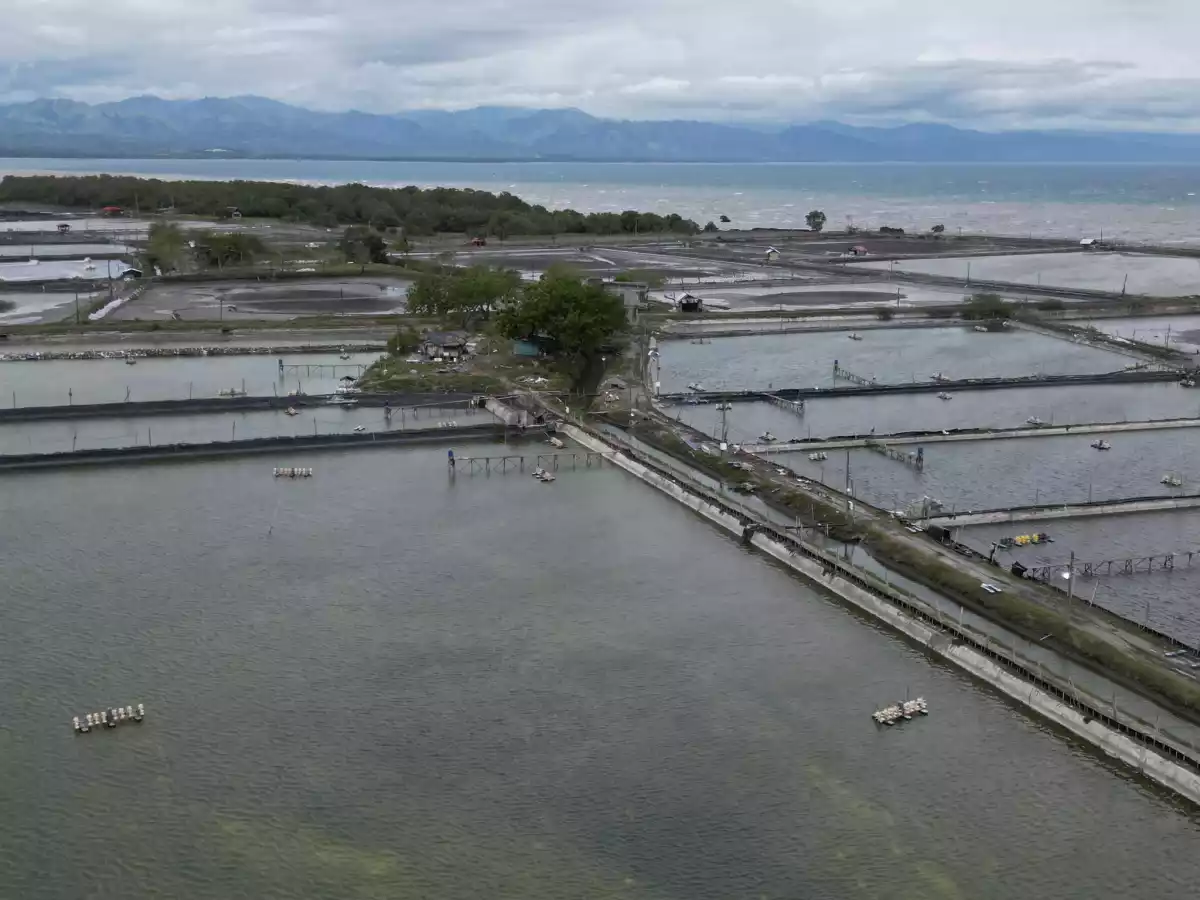 SHRIMP FARM FOR SALE — Agricultural Lot in General Santos City, South Cotabato, Philippines — Photo 3