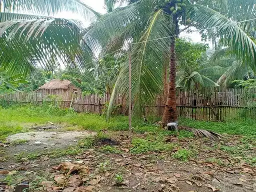 White sand beach — Beach Lot in Butuan City, Agusan Del Norte, Philippines — Photo 4