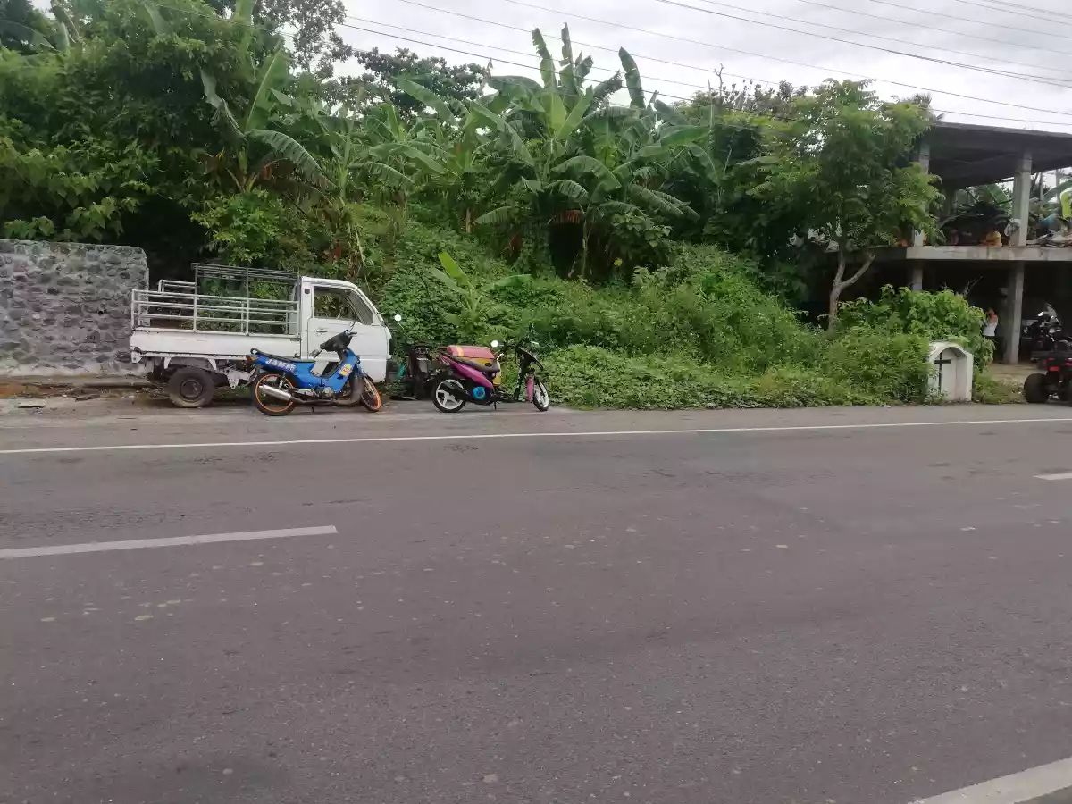 RUSH!. RUSH!. Lot for sale @ Bascaran, Daraga, Albay - photo 5