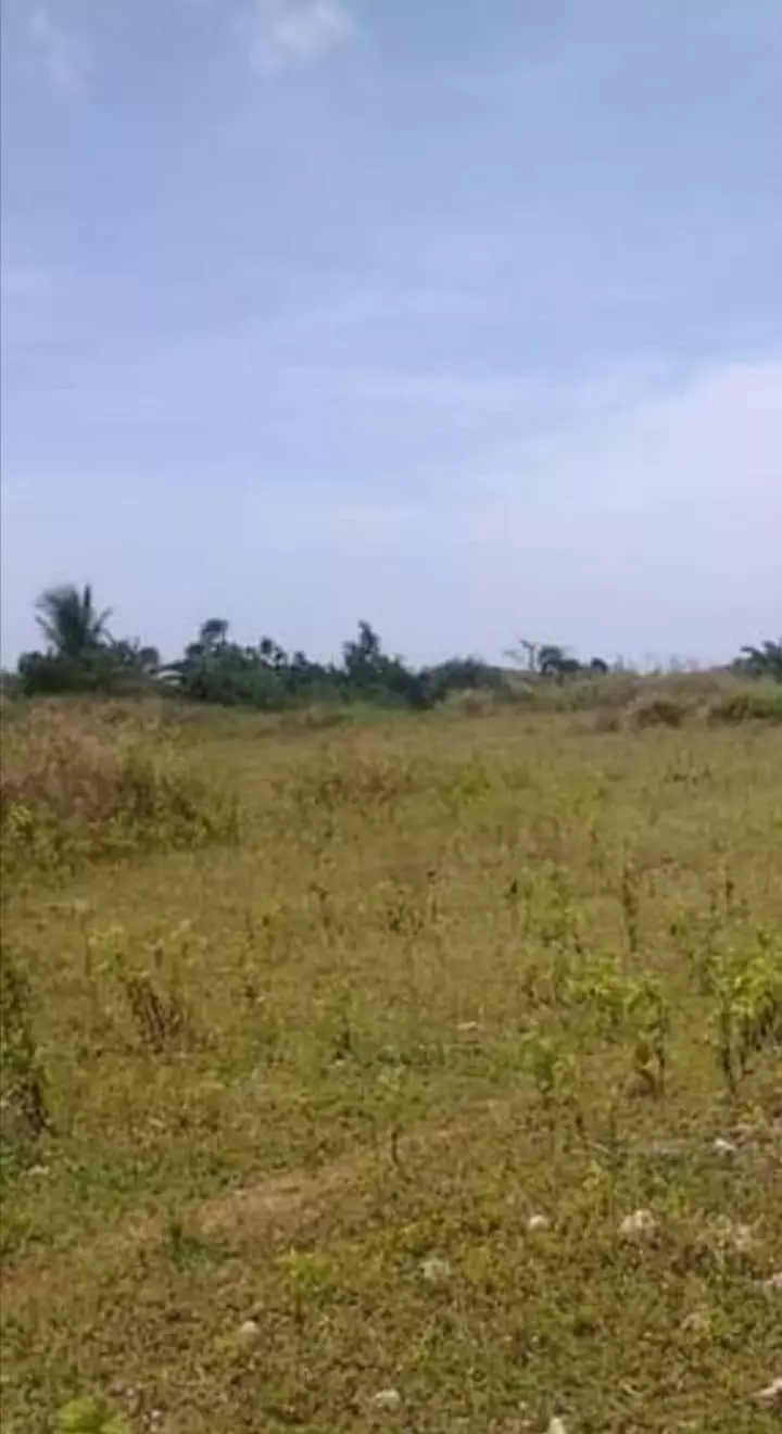 For sale lot Only