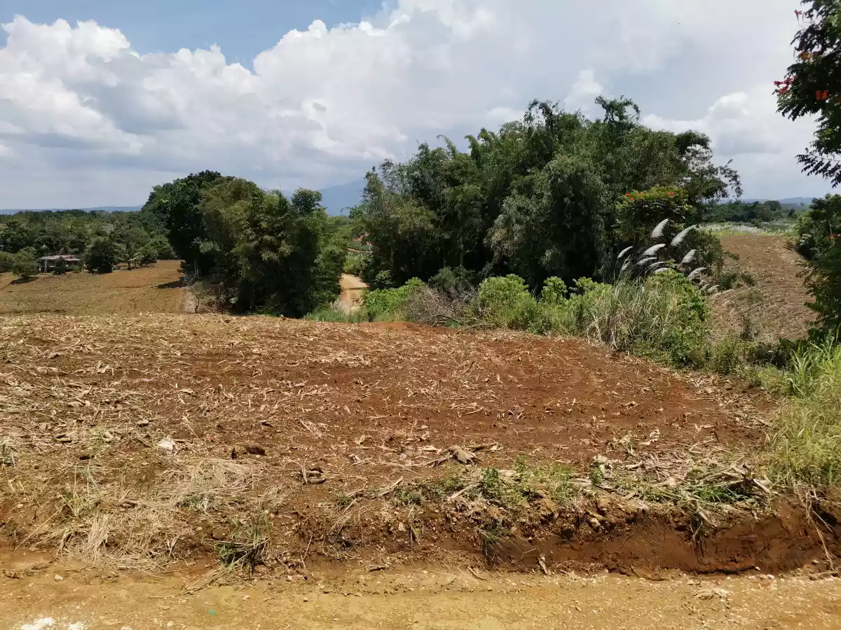 For Sale Raw Lot Beside provincial Road from Tagoloan -matibugao- Alae — Residential Lot in Bukidnon, Philippines — Photo 6