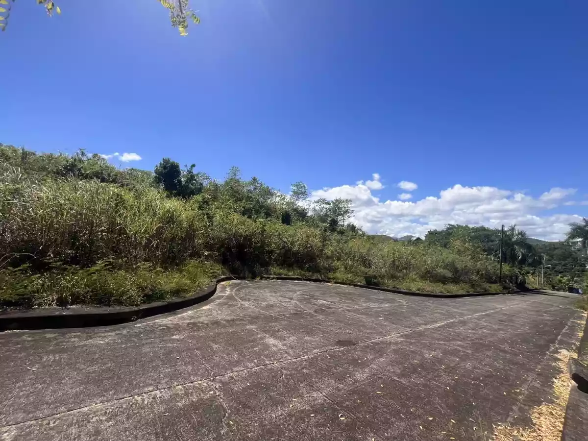 Lot for Sale in El Monteverde, Lamac, Consolacion Cebu — Residential Lot in New Orleans Street, Lamac, Consolacion — Photo 4