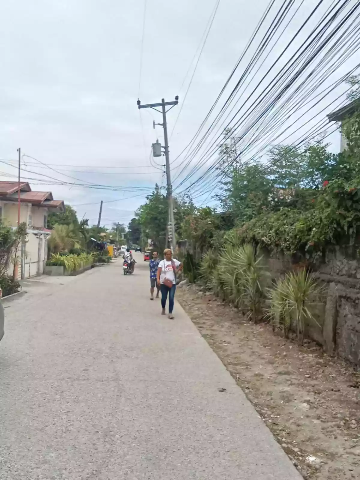 Lot for lease in Poblacion San Fernando Cebu