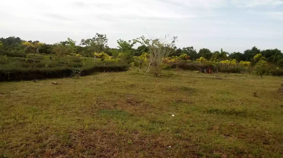 Lot For Sale  - photo 6
