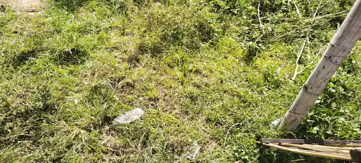 Alabel poblacion - photo 3