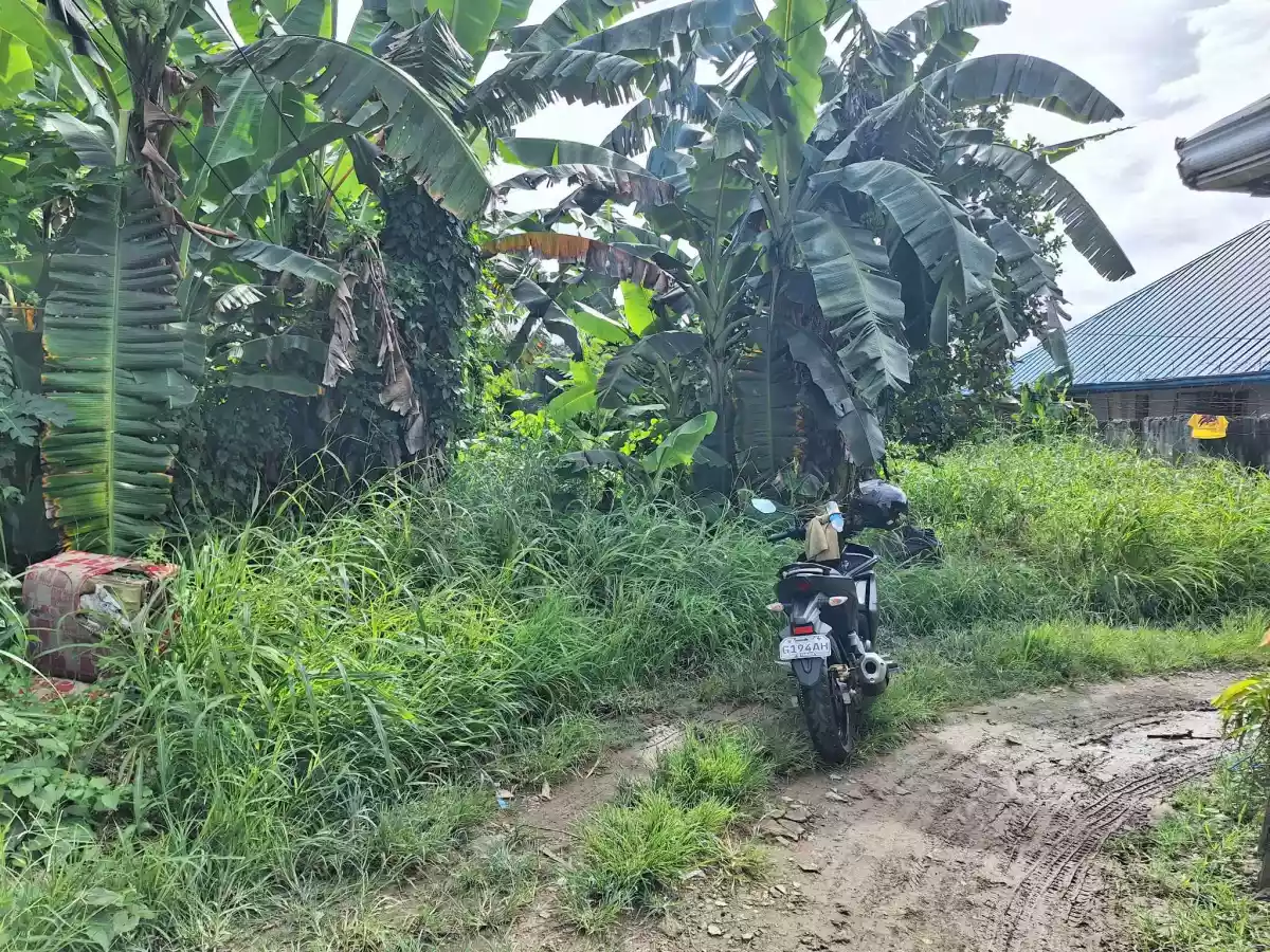 Lot for sale in Talisay City,Cebu - photo 2