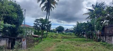 Lot for Sale Ideal for Warehouse or Factory — Commercial Lot in Cebu, Philippines — Photo 6