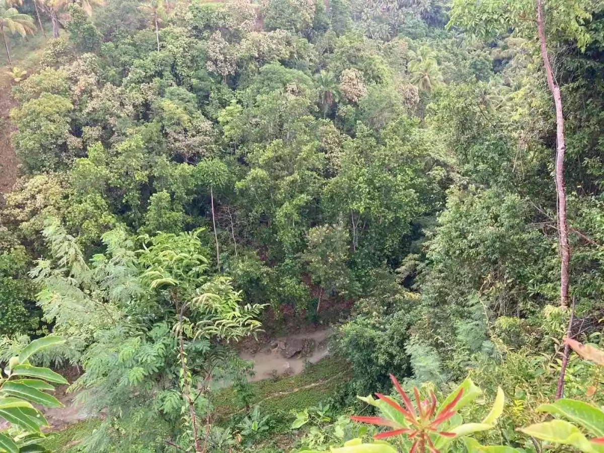 Eric Manigo — Agricultural Lot in Cebu City, Cebu, Philippines — Photo 4