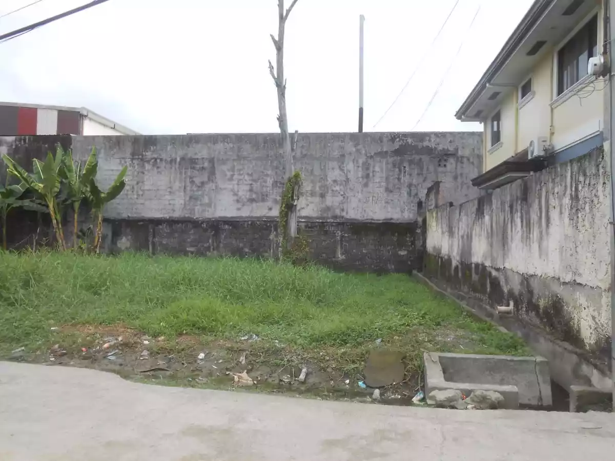 FOR SALE RESIDENTIAL LOT In MANDAUE CITY