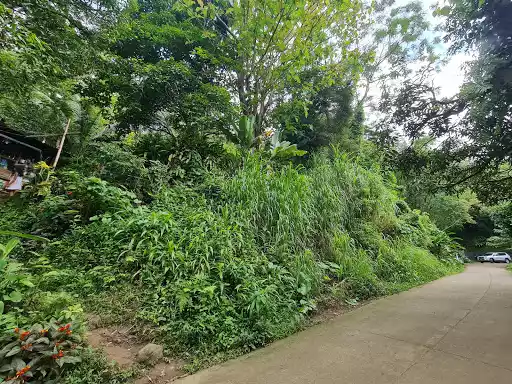 Lot for Sale — Commercial Lot in Cebu City, Cebu, Philippines — Photo 7