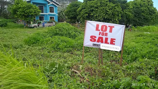 RUSH SALE! Corner Lot for Sale in Camella Savannah Iloilo — Residential Lot in Iloilo City, Iloilo, Philippines — Photo 3