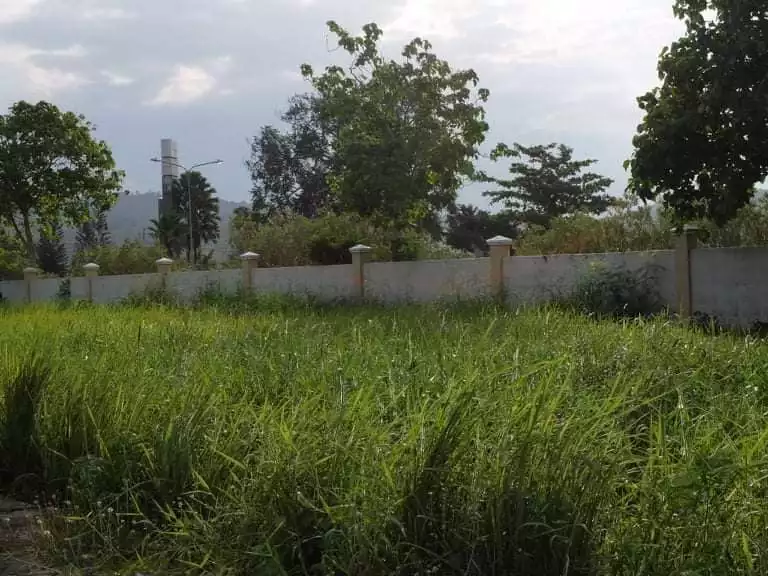 Las Palmas Verdes Subdivision Lot for sale — Residential Lot in Buhangin, Davao City, Davao del Sur — Photo 5