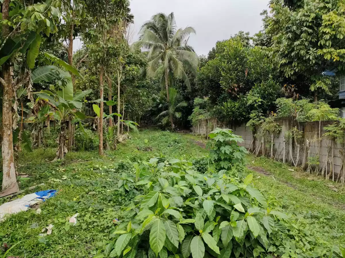 429 SQM. LOT FOR SALE IN JAWA VALENCIA - photo 6