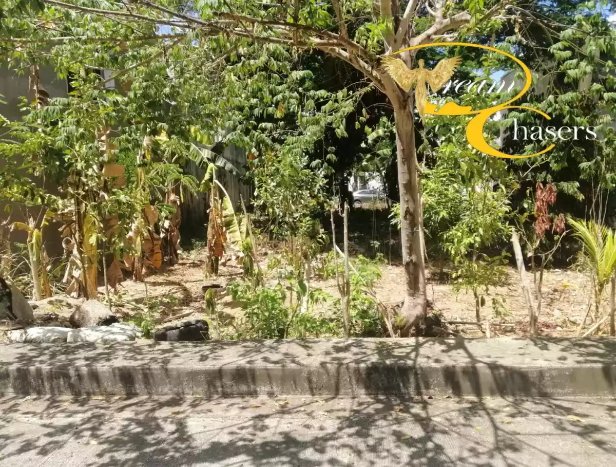 128 sqm Lot Only in Pulang-bato - photo 5