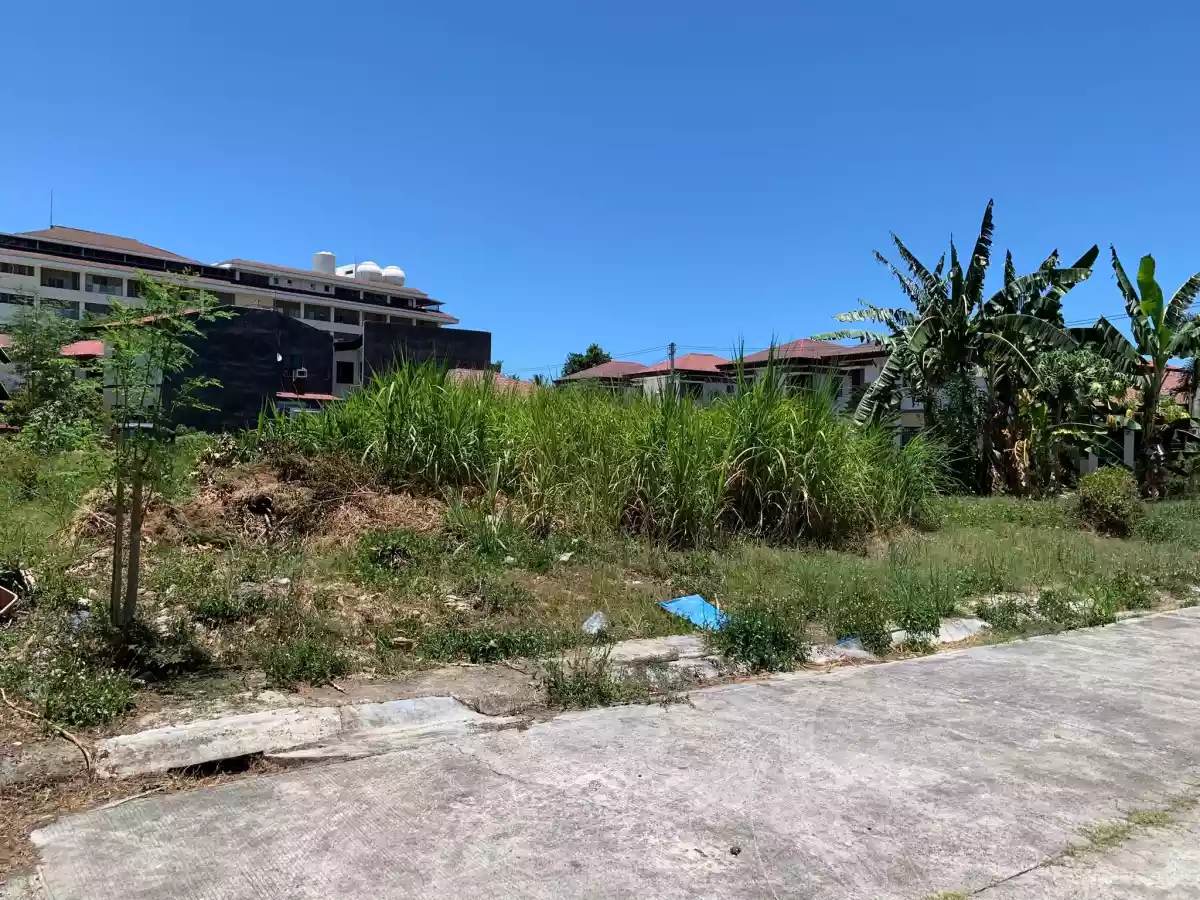 LOT ONLY FOR SALE INSIDE MIDORI PLAINS SUBDIVISION!! - photo 3