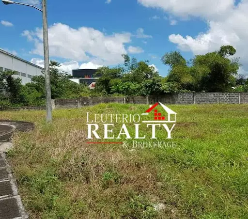 Residential lot For Sale (Corner lot) — Residential Lot in Camarines Sur, Philippines — Photo 5