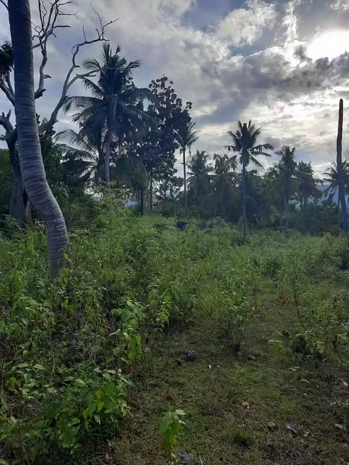 LOT for sale - photo 4