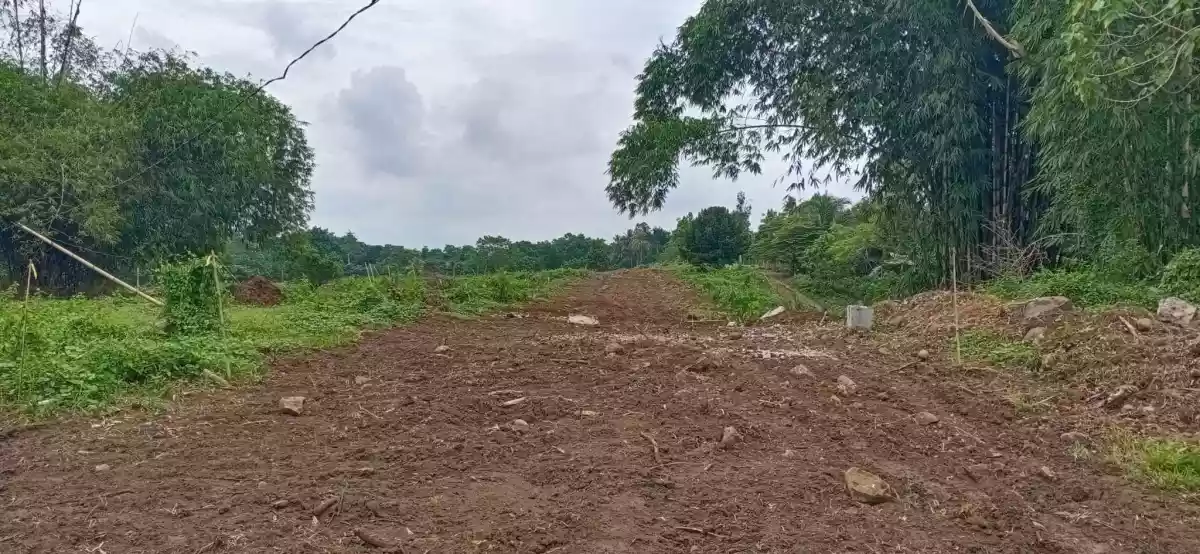4 Hectares Lot for Sale Tacunan Tugbok Davao City — Residential Lot in Tugbok, Davao City, Davao del Sur — Photo 3