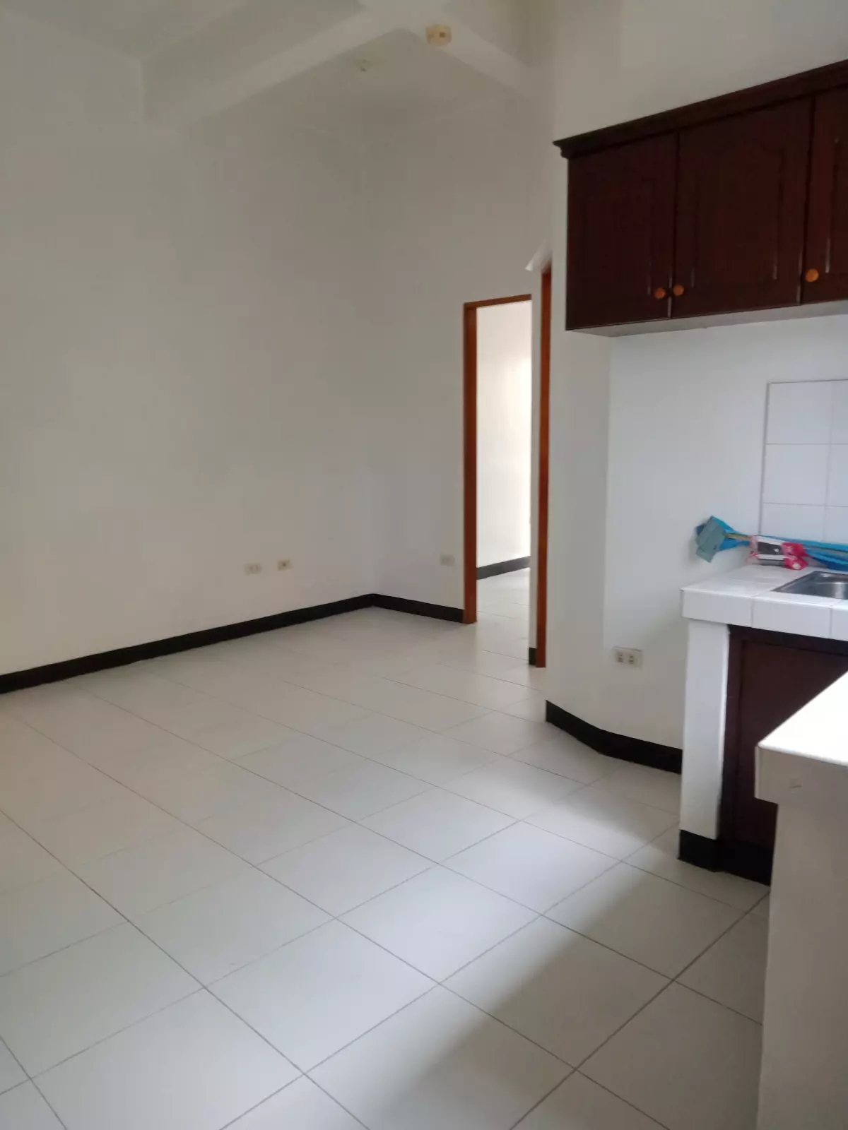 FOR SALE:  196sqm Apartment near SM Sucat, Paranaque City - photo 5