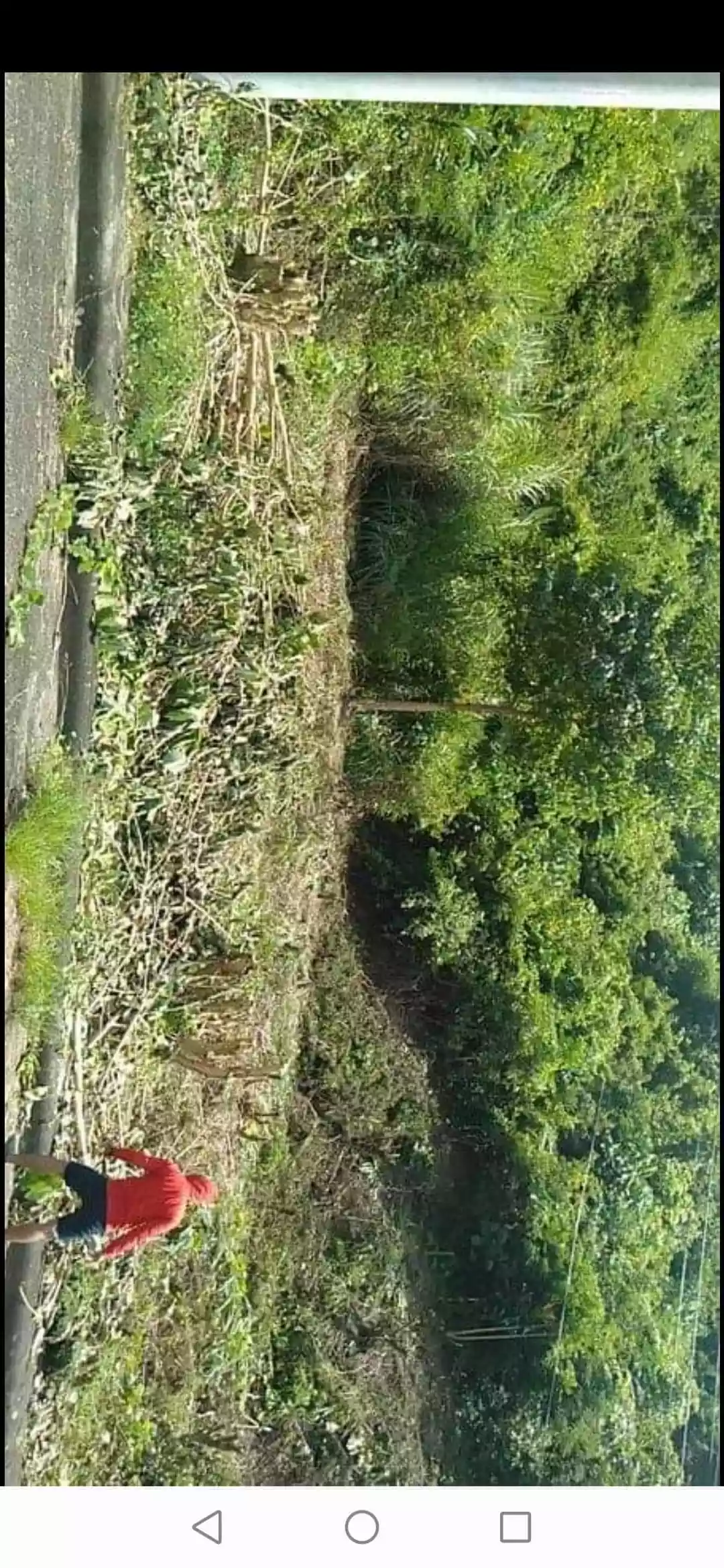 Residential Lot - photo 3