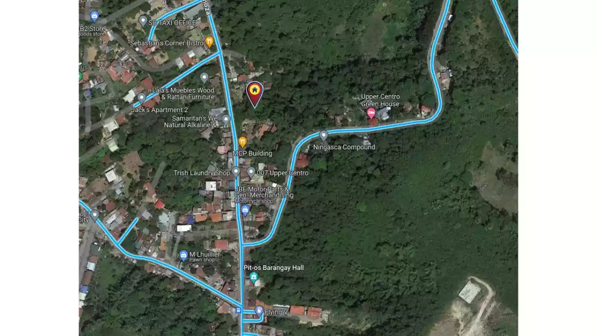 1,700sqm Commercial Lot for Sale at Pit-os, Cebu City - photo 3