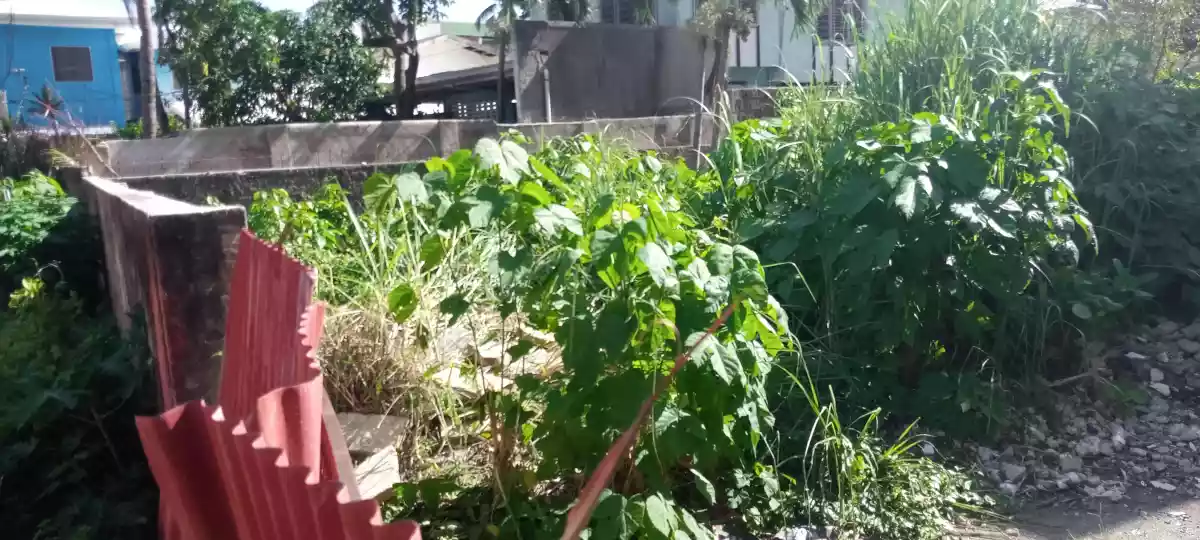 lot for rent in Guadalupe — Residential Lot in Cebu City, Cebu, Philippines — Photo 6