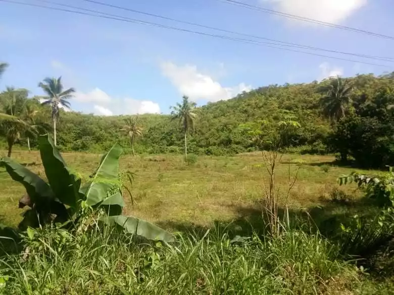 Lot for Sale in Sogod - photo 3