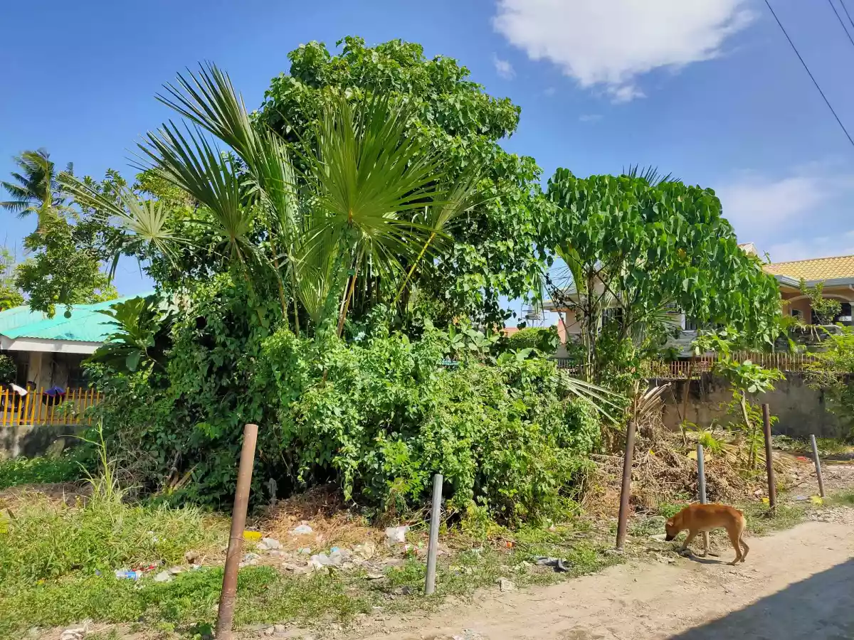 Residential Lot For Sale in Yati, Liloan, Cebu! — Residential Lot in Liloan, Cebu, Philippines — Photo 3