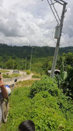 Lot for Sale along Naga Danao Super Highway 