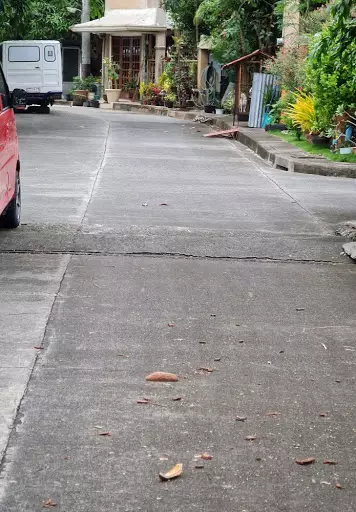 Subdivision Lot inside Golden Meadows,Cordova Cebu - photo 3