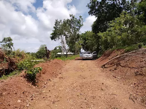 775sqm Overlooking To Honda Bay,Puerto Princesa City Palawan — Residential Lot in Palawan, Philippines — Photo 2