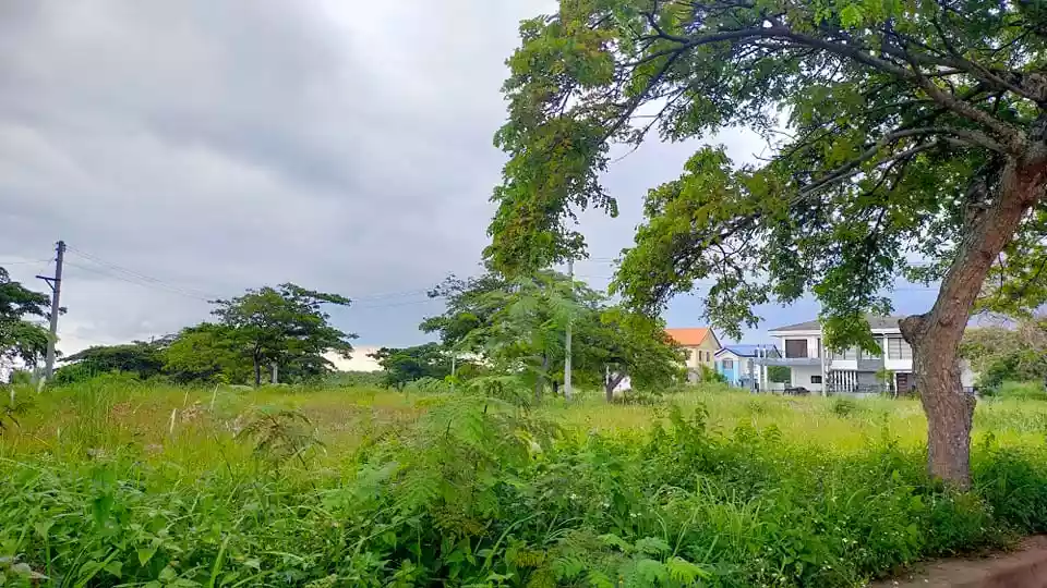 LOT near the Park at Aspen Heights, Consolacion, Cebu - photo 4