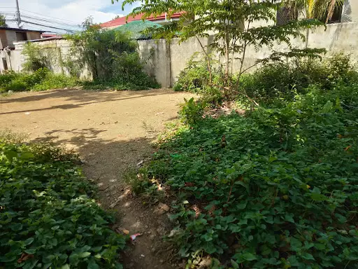 lot for sale?? — Residential Lot in Lapu-Lapu City, Cebu, Philippines — Photo 5