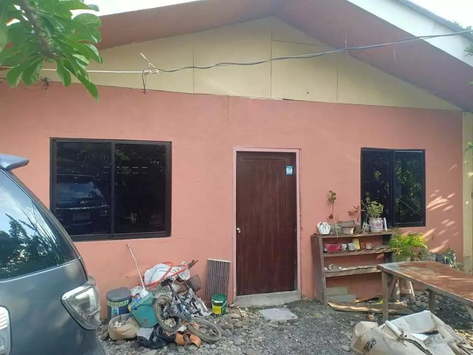 House and lot for sale in Narra ext., Lagao