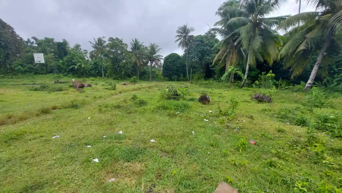 Commercial lot for sale  - photo 6