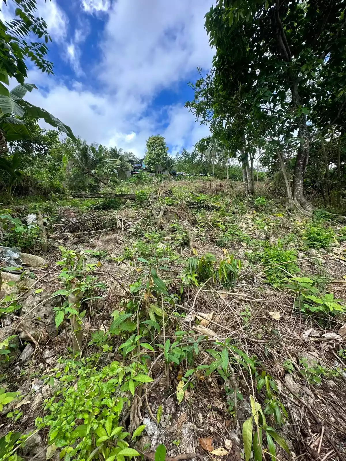 FOR SALE NAGA CEBU LOT ONLY — Residential Lot in City of Naga, Cebu, Philippines — Photo 7