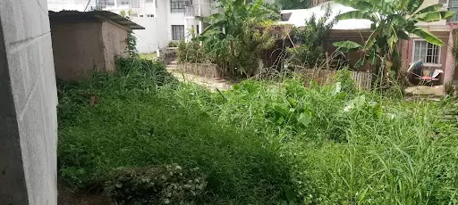 Miramonte Pit-os — House and Lot in Cebu City, Cebu, Philippines — Photo 3